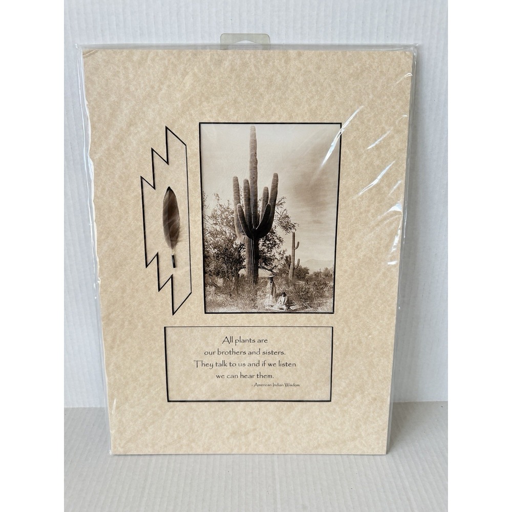 Edward S Curtis Gathering Saguaro Fruit Native American Beige Matted Print 11x15